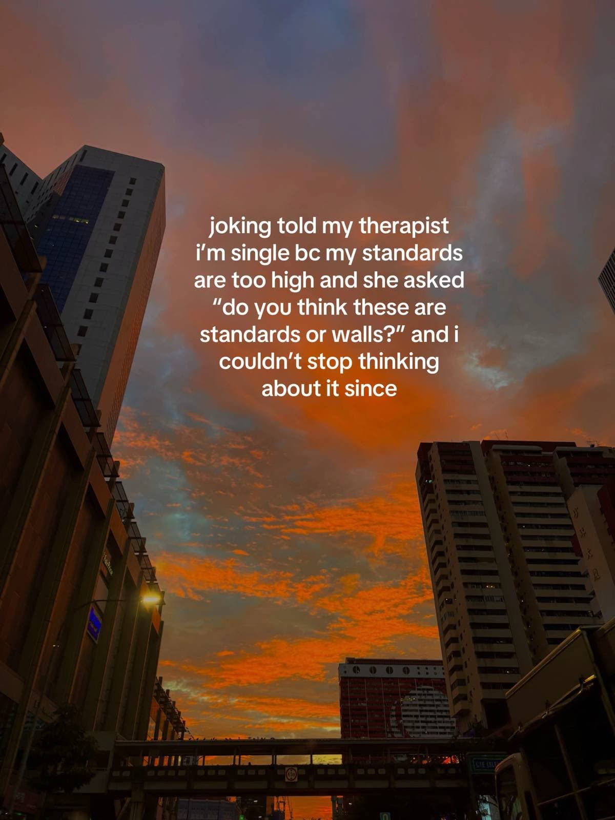 Slide 1: joking told my therapist
i’m single bc my standards
are too high and she asked
“do you think these are
standards or walls?” and i
couldn’t stop thinking
about it since