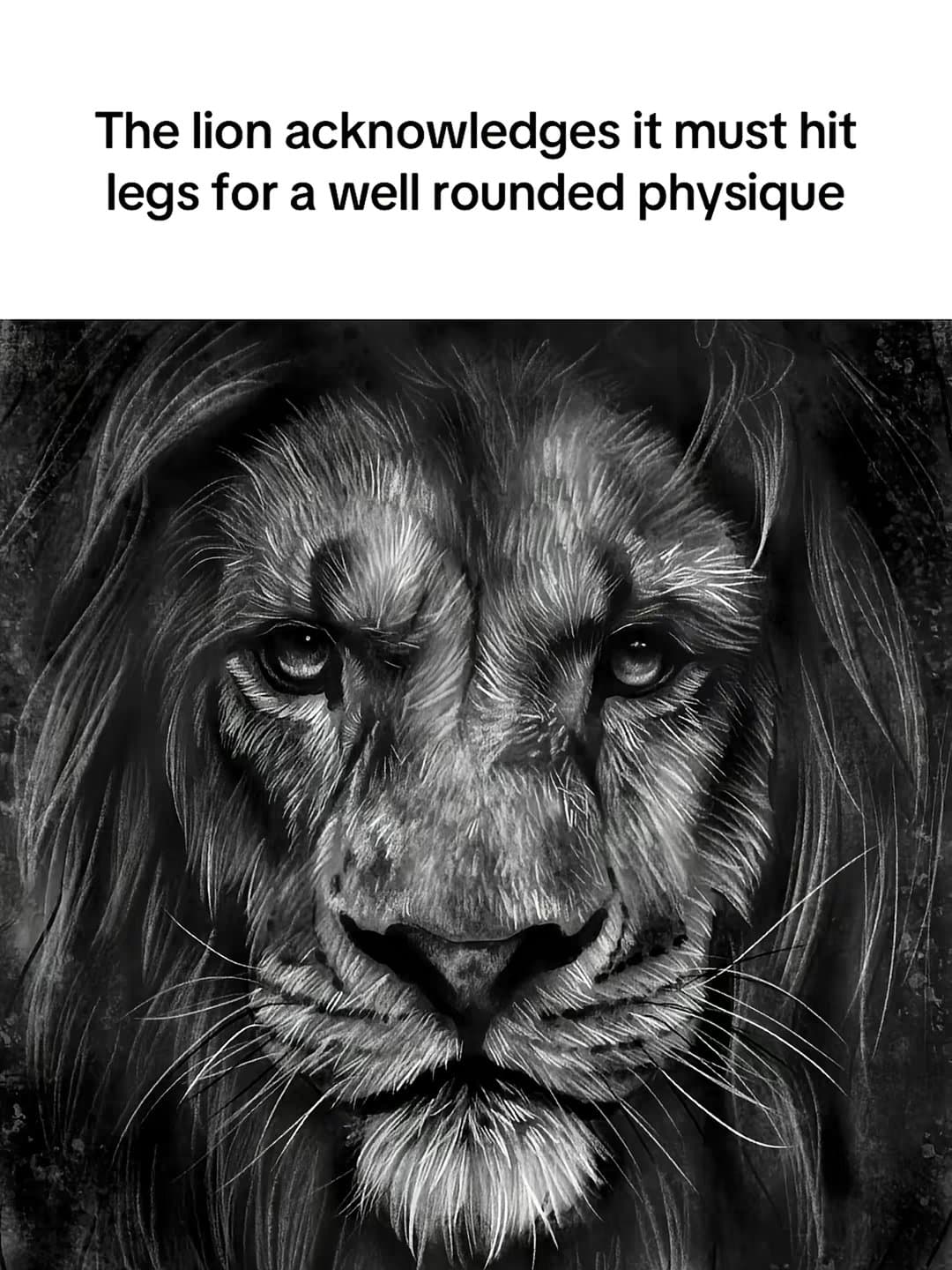 Slide 1: The lion acknowledges it must hit
legs for a well rounded physique

