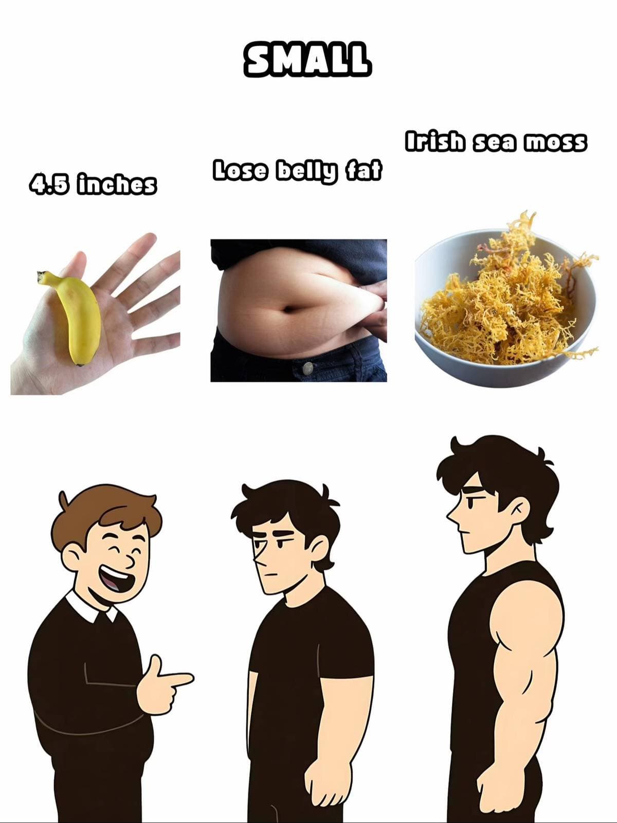 Slide 1: SMALL
4.5 inches
Lose belly fat
Irish sea moss