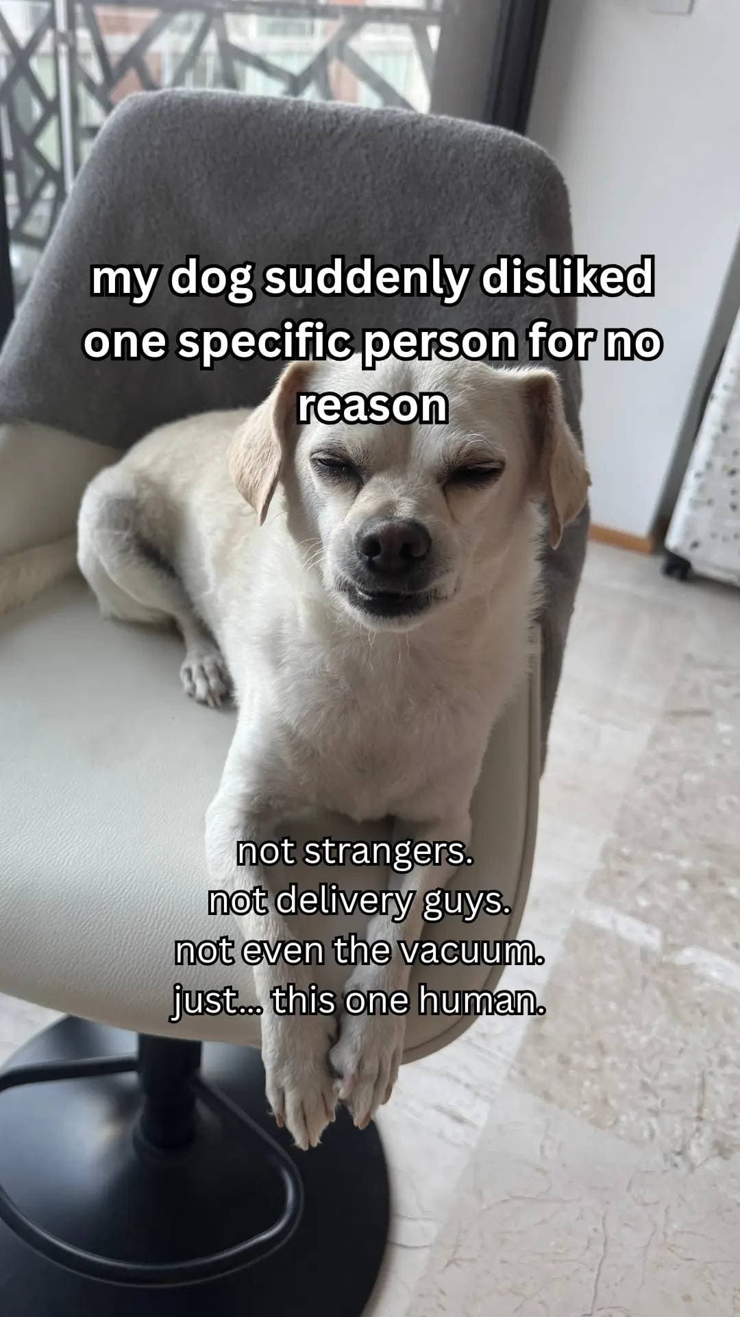 Slide 1: my dog suddenly disliked 
one specific person for no 
reason

not strangers.
not delivery guys.
not even the vacuum.
just... this one human.
