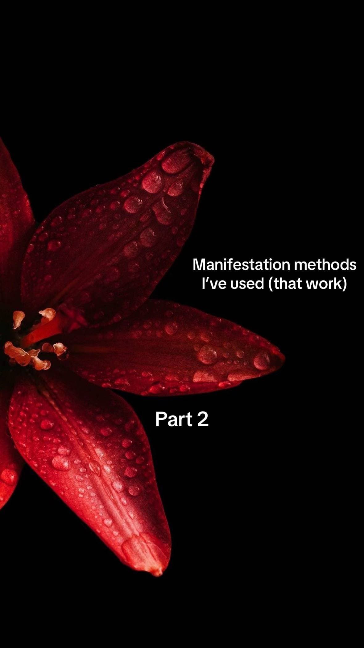 Slide 1: Manifestation methods
I've used (that work)

Part 2