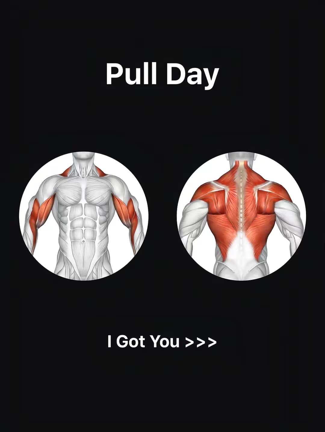 Slide 1: Pull Day
I Got You >>>