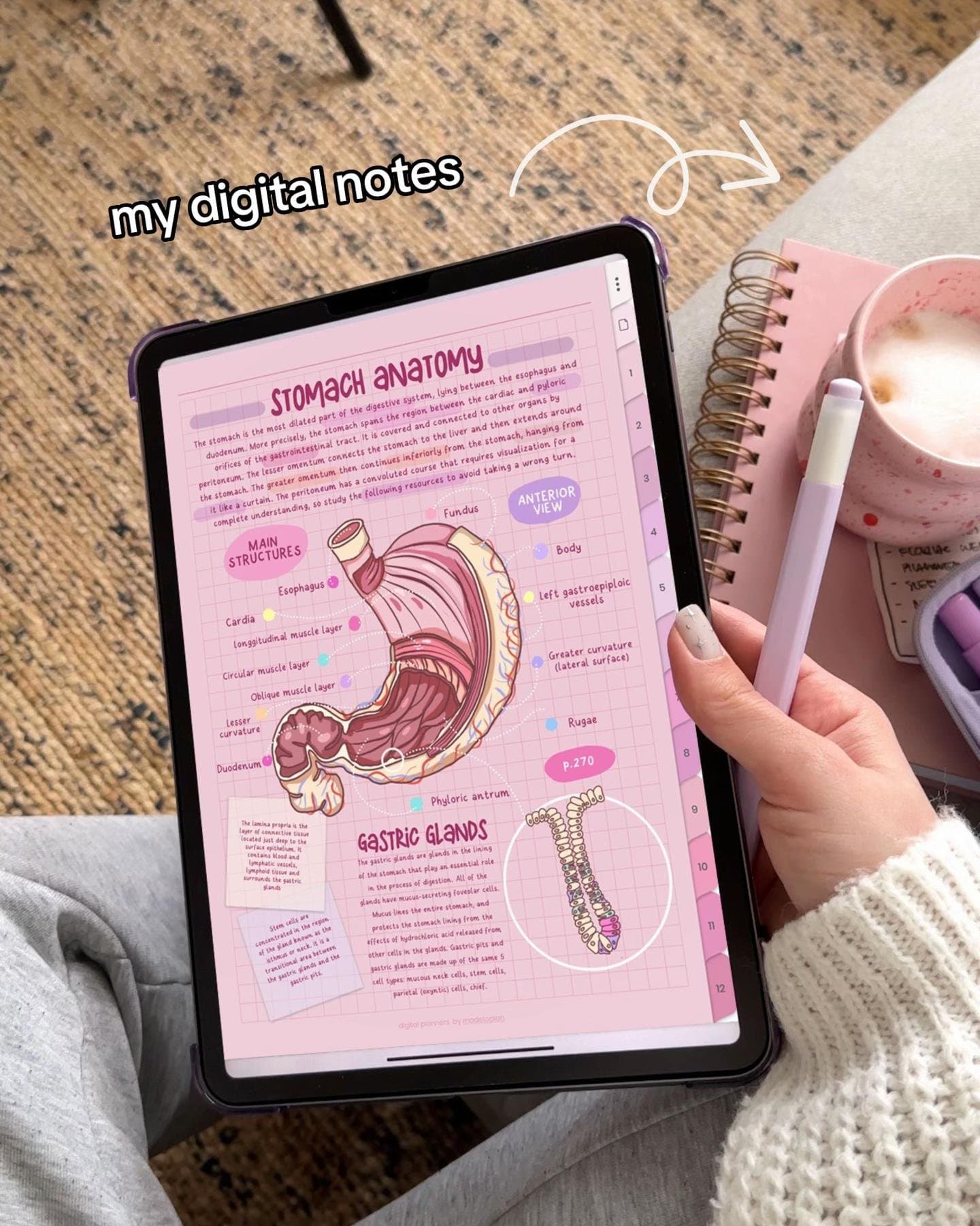 Slide 1: my digital notes