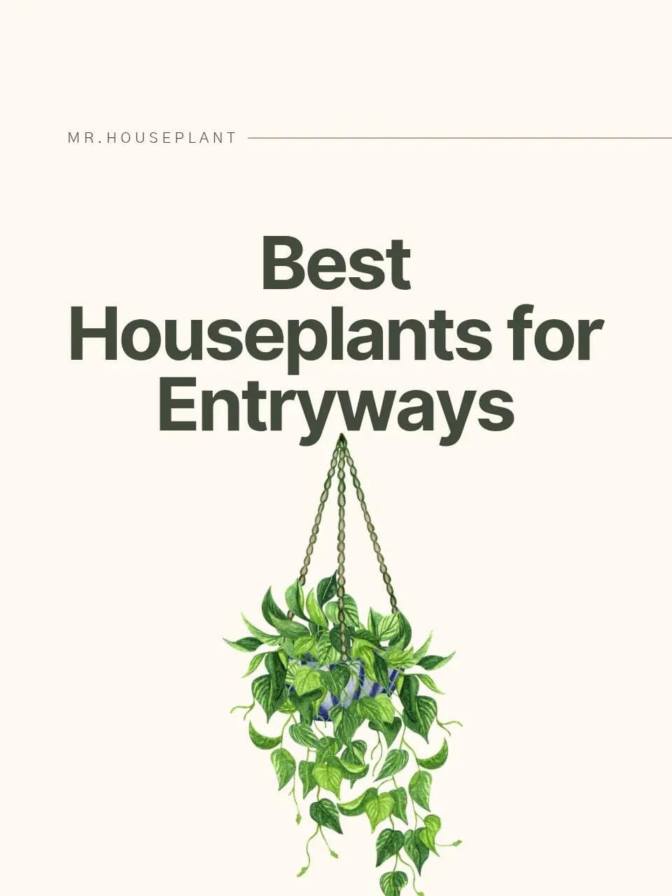 Slide 1: MR. HOUSEPLANT
Best
Houseplants for
Entryways