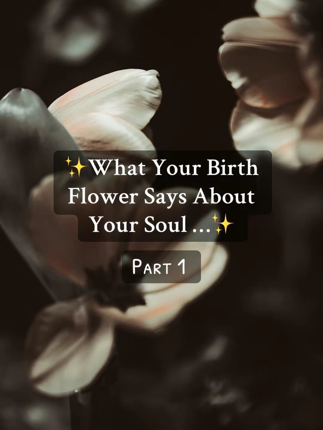Slide 1: ✨What Your Birth
Flower Says About
Your Soul...✨
Part 1