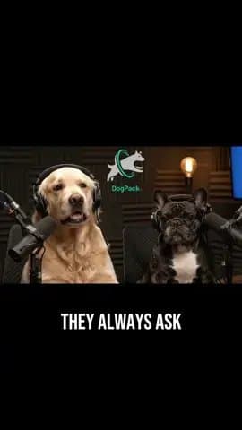 THEY ALWAYS ASK
THE OBVIOUS QUESTIONS LIKE
DO YOU WANT THE BALL  NAH
I BROUGHT I…