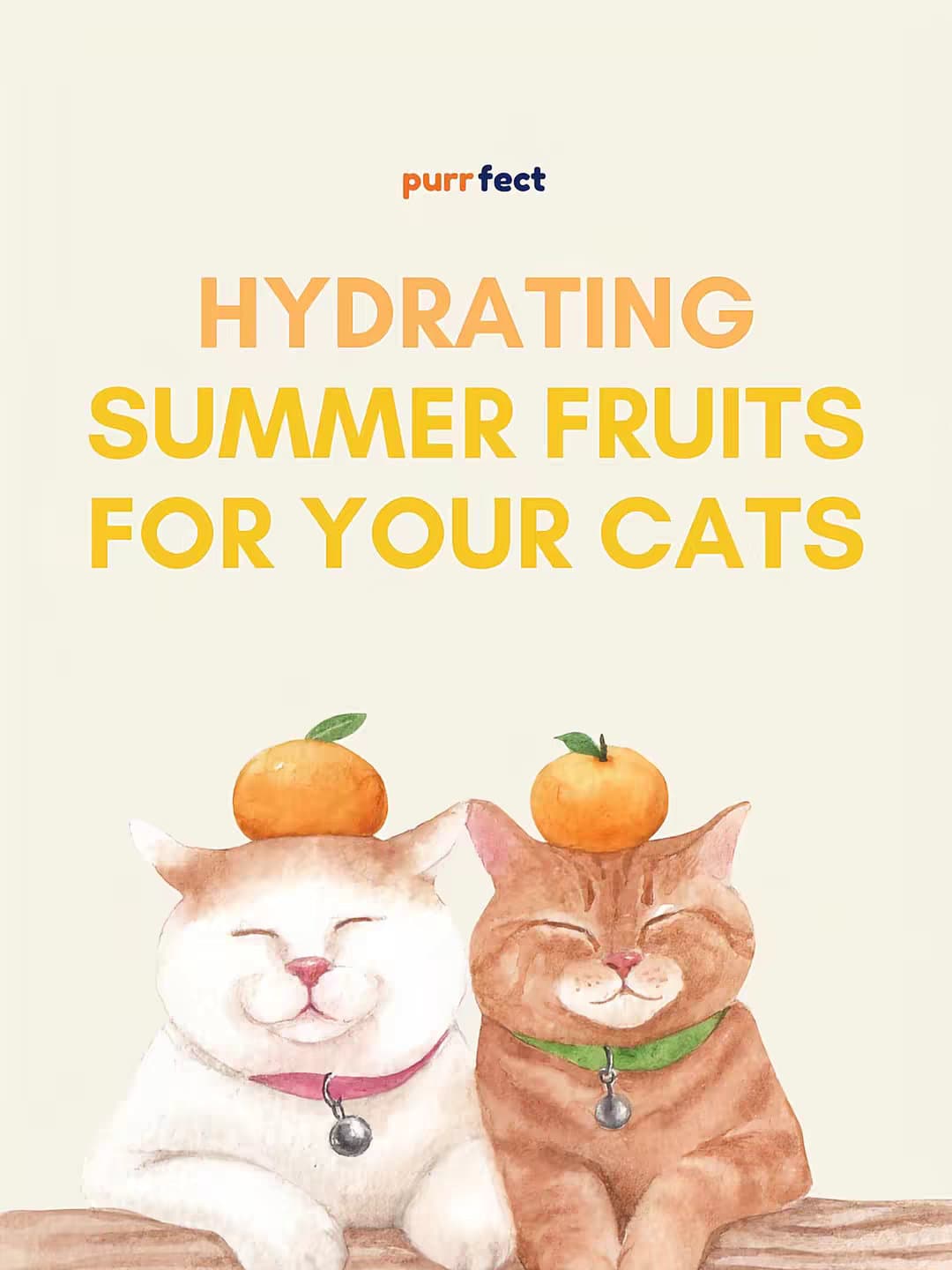 Slide 1: HYDRATING SUMMER FRUITS FOR YOUR CATS