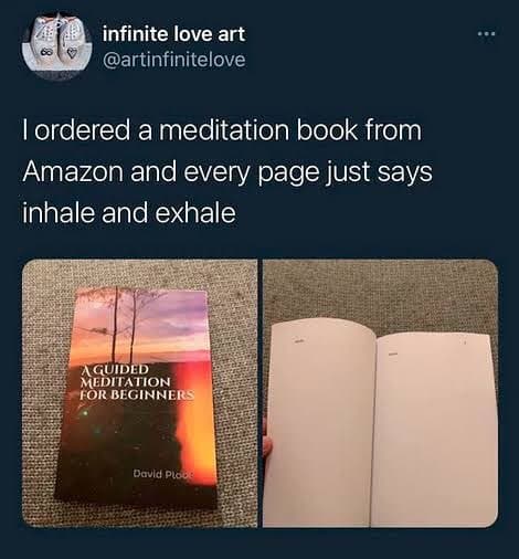 Slide 1: infinite love art
@artinfinitelove

I ordered a meditation book from
Amazon and every page just says
inhale and exhale