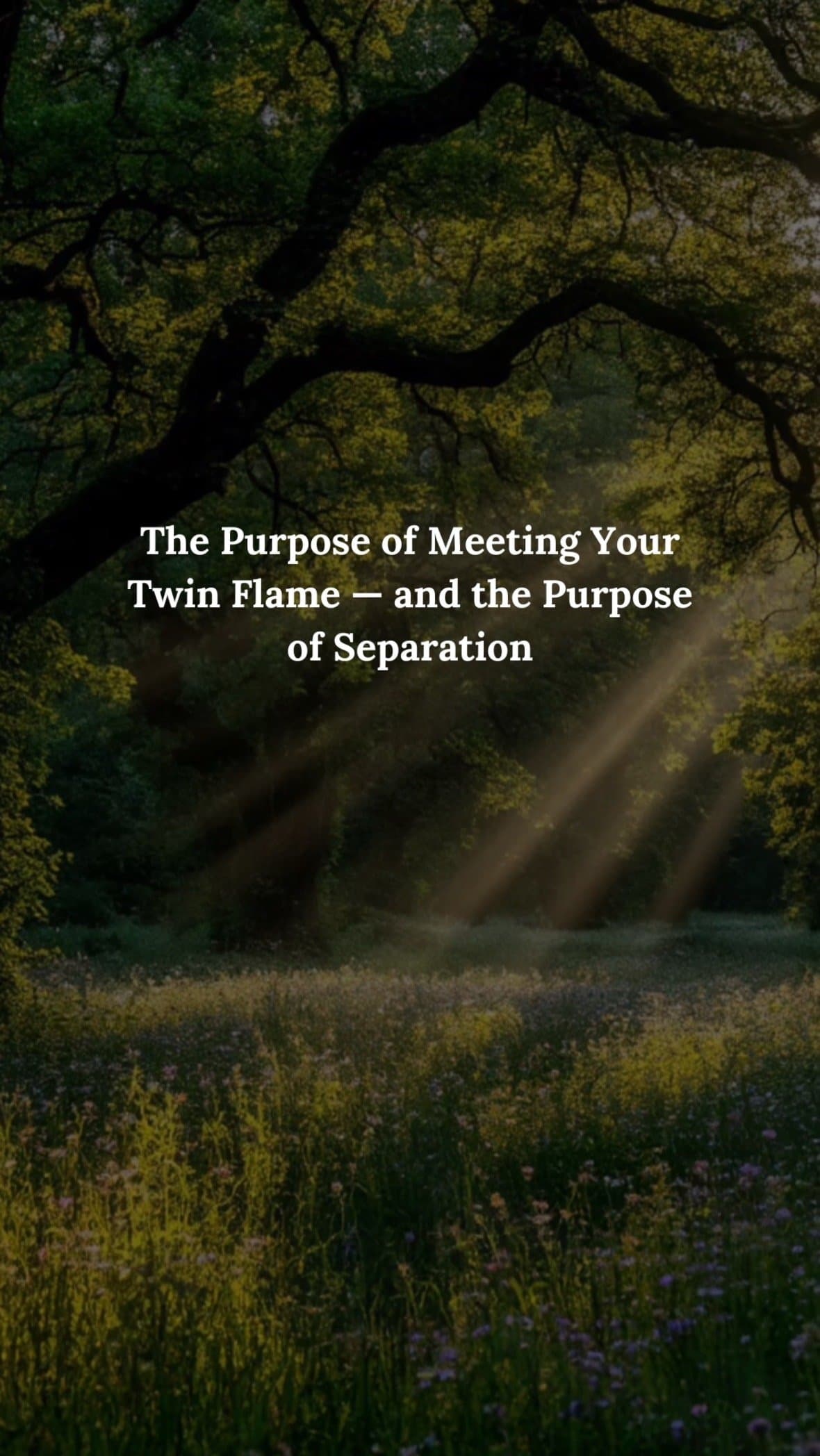 Slide 1: The Purpose of Meeting Your
Twin Flame — and the Purpose
of Separation