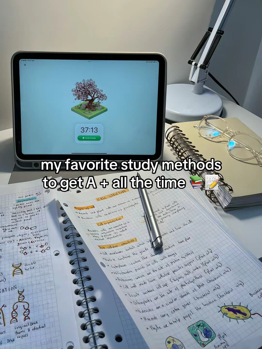 Slide 1: my favorite study methods to get A + all the time