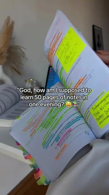 “God, how am I supposed to
learn 50 pages of notes in
one evening? 😩📚”

JUST D…