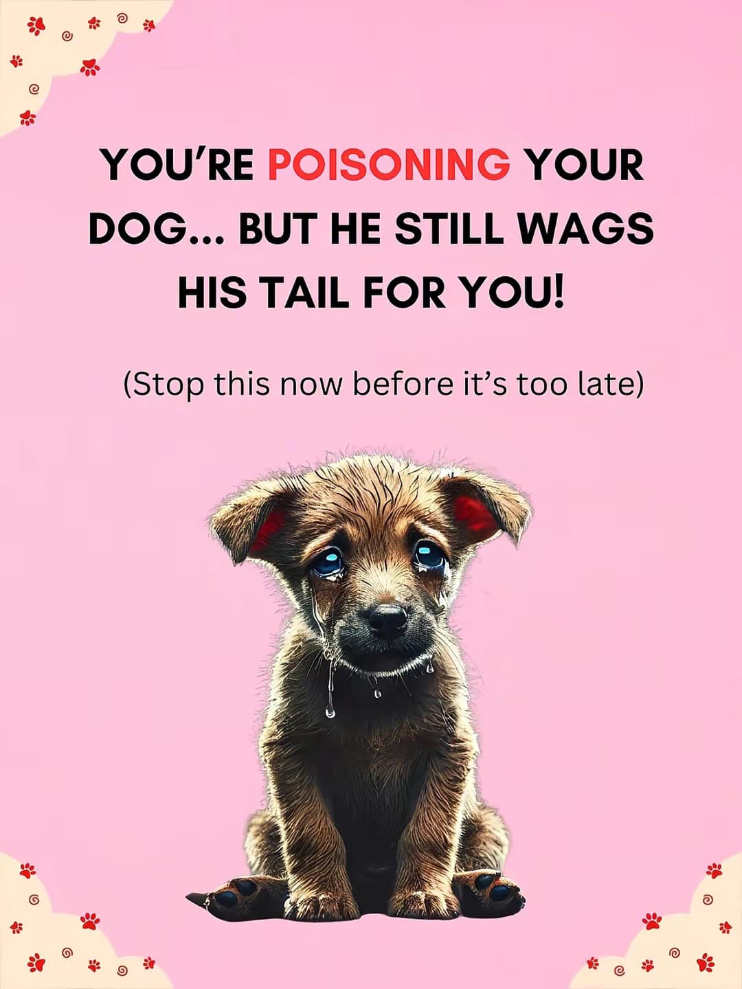 YOU'RE POISONING YOUR
DOG... BUT HE STILL WAGS
HIS TAIL FOR YOU!

(Stop this now…