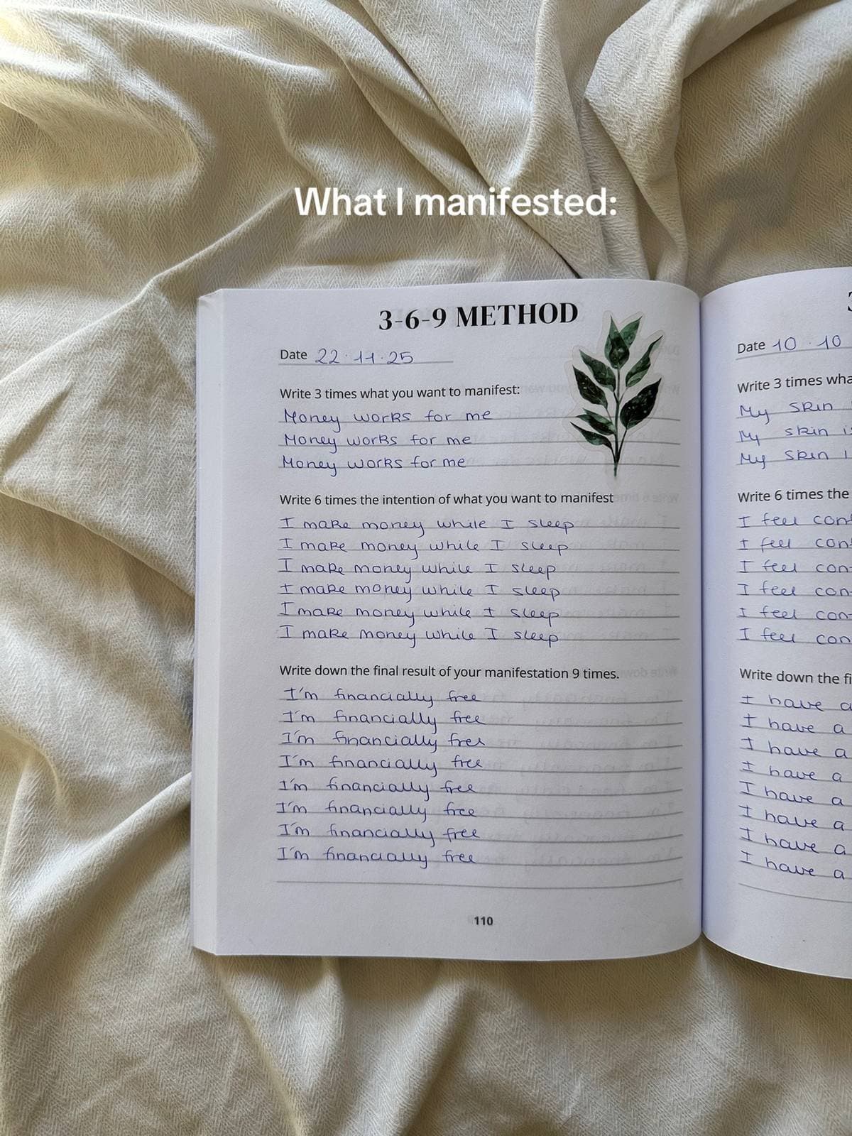 Slide 1: What I manifested: