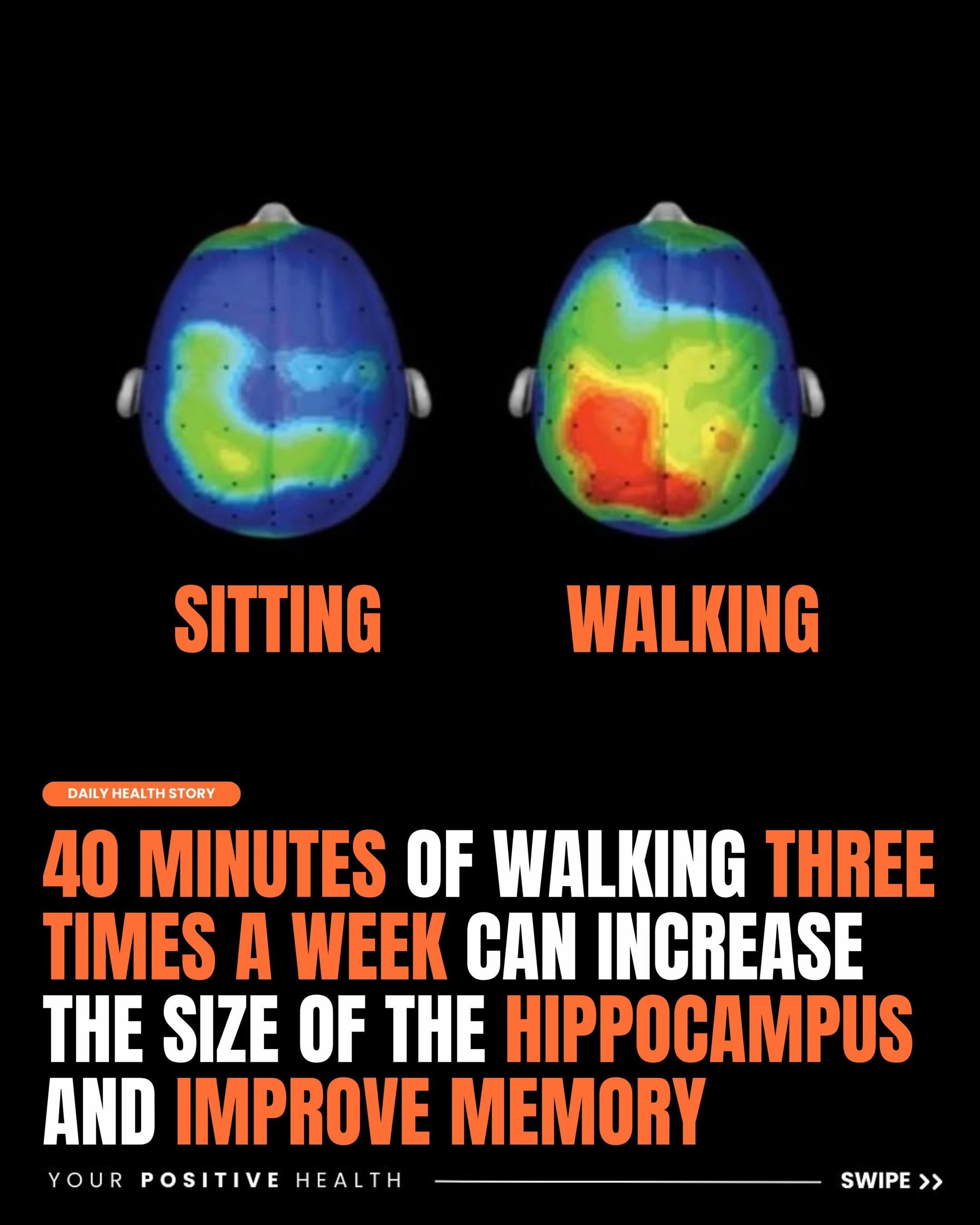 Slide 1: SITTING and WALKING
DAILY HEALTH STORY
40 MINUTES OF WALKING THREE
TIMES A WEEK CAN INCREASE
THE SIZE OF THE HIPPOCAMPUS
AND IMPROVE MEMORY
YOUR POSITIVE HEALTH