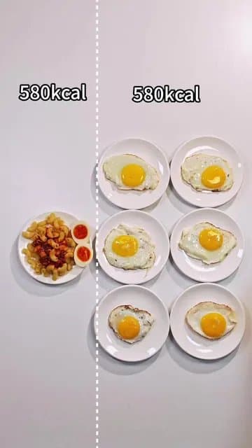 CalScan helps you make the perfect choices when weight loss.