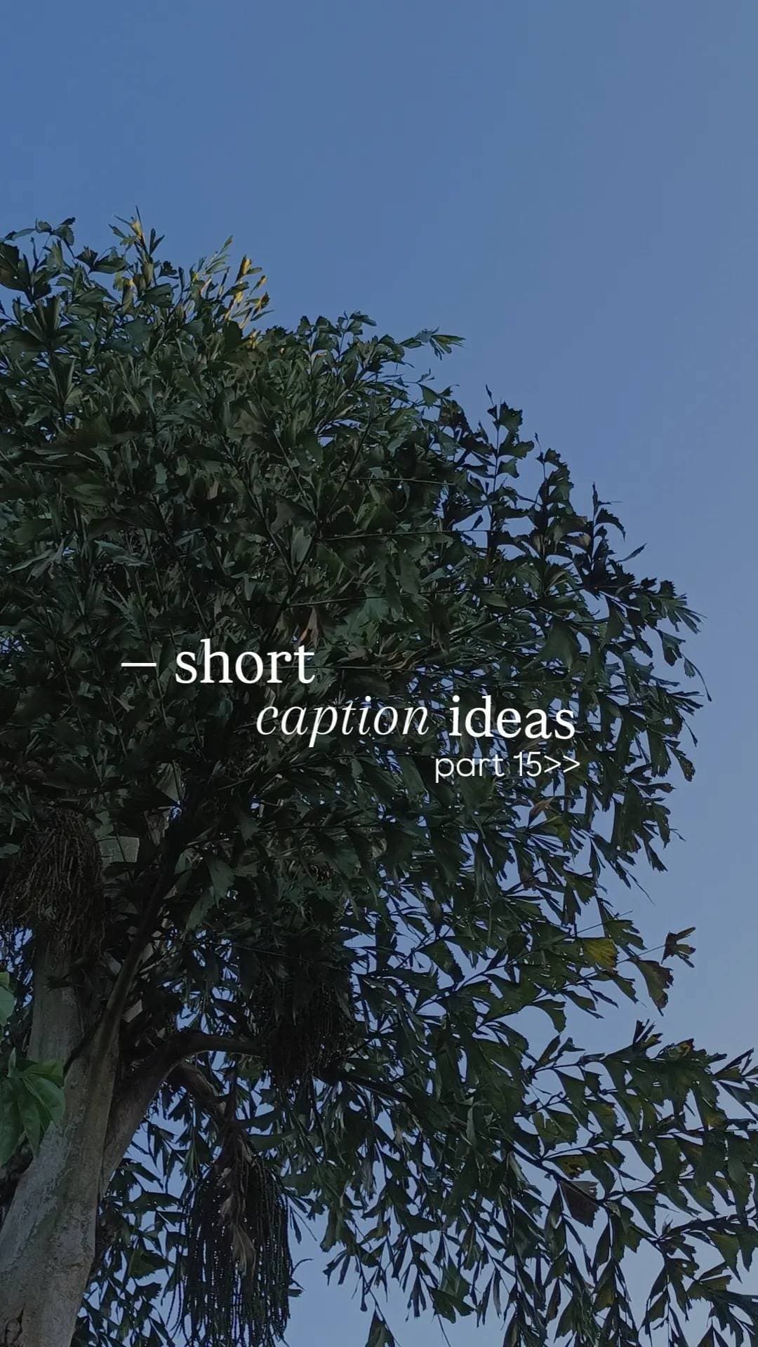 — short
caption ideas
part 15>>