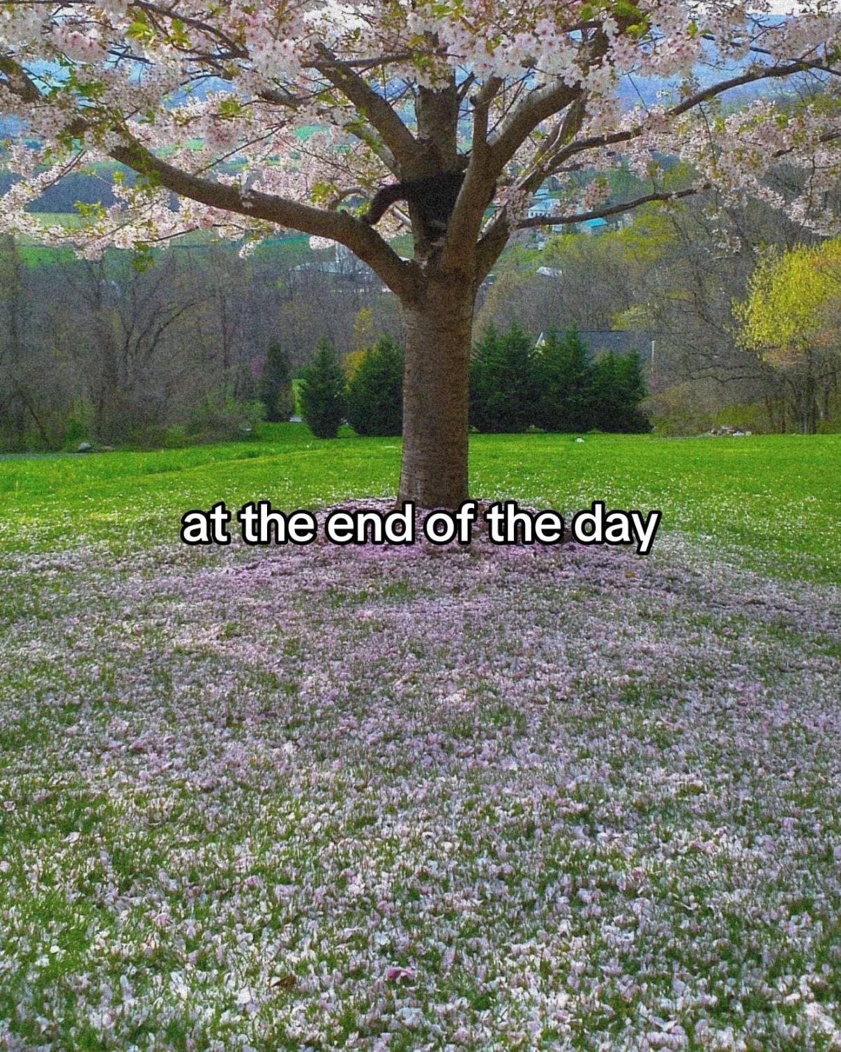 Slide 1: at the end of the day