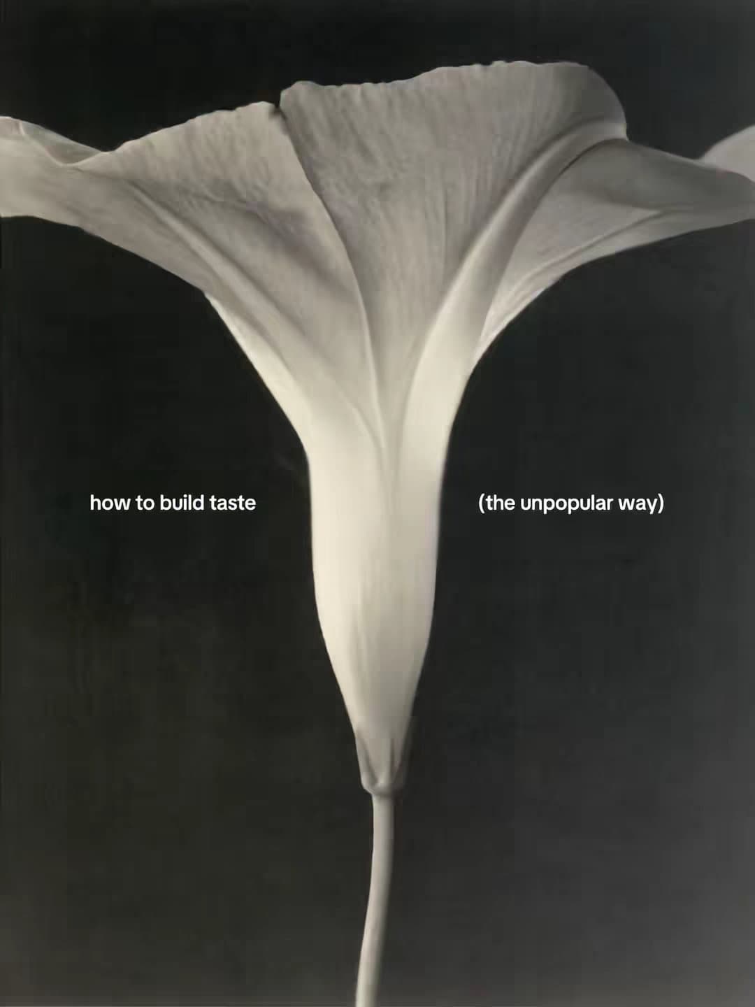 how to build taste
(the unpopular way)