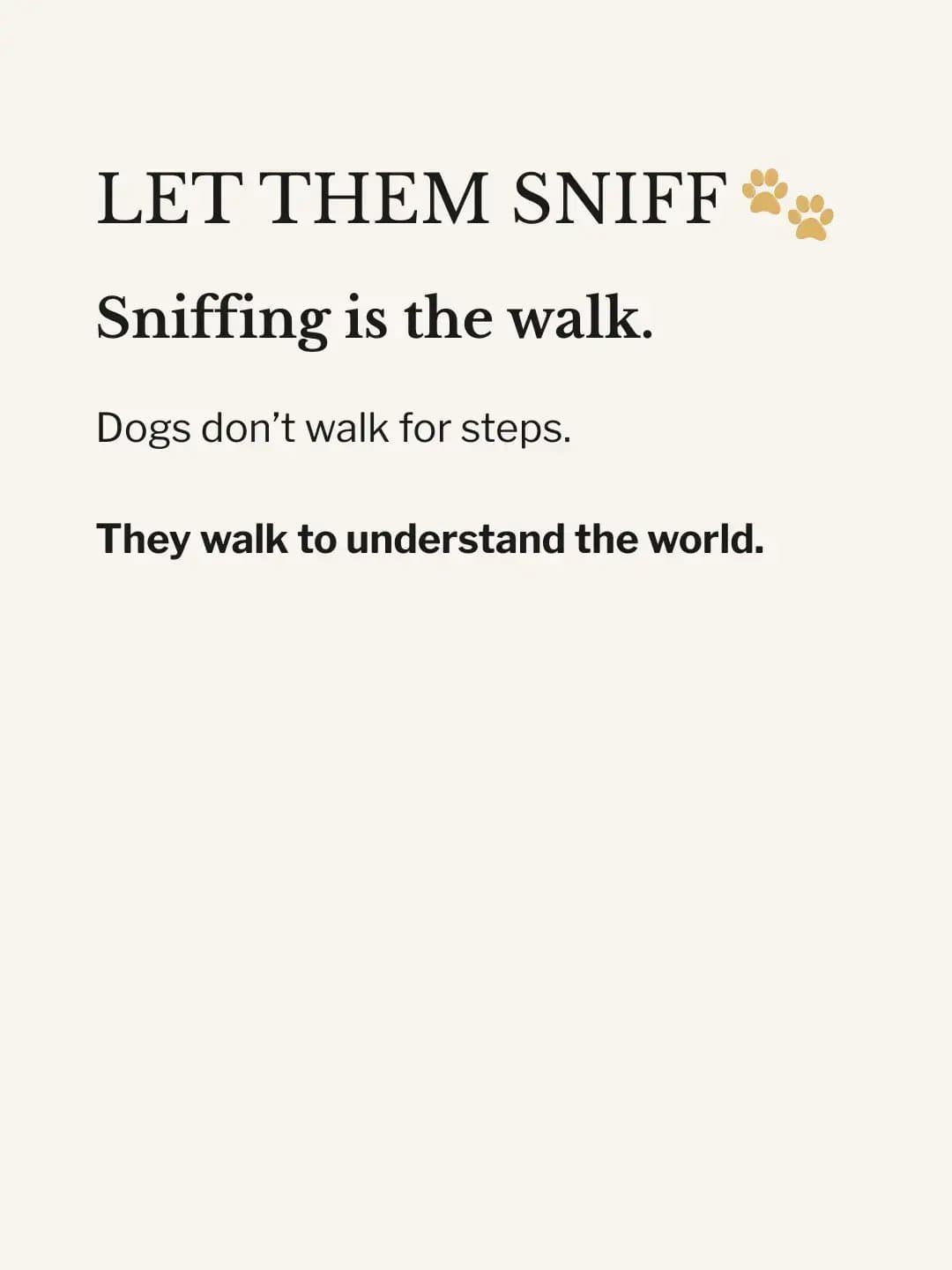 LET THEM SNIFF
Sniffing is the walk.
Dogs don't walk for steps.
They walk to unβ¦