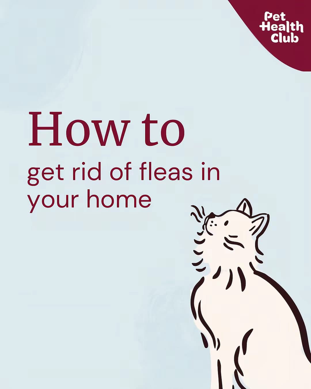 Slide 1: How to
get rid of fleas in
your home