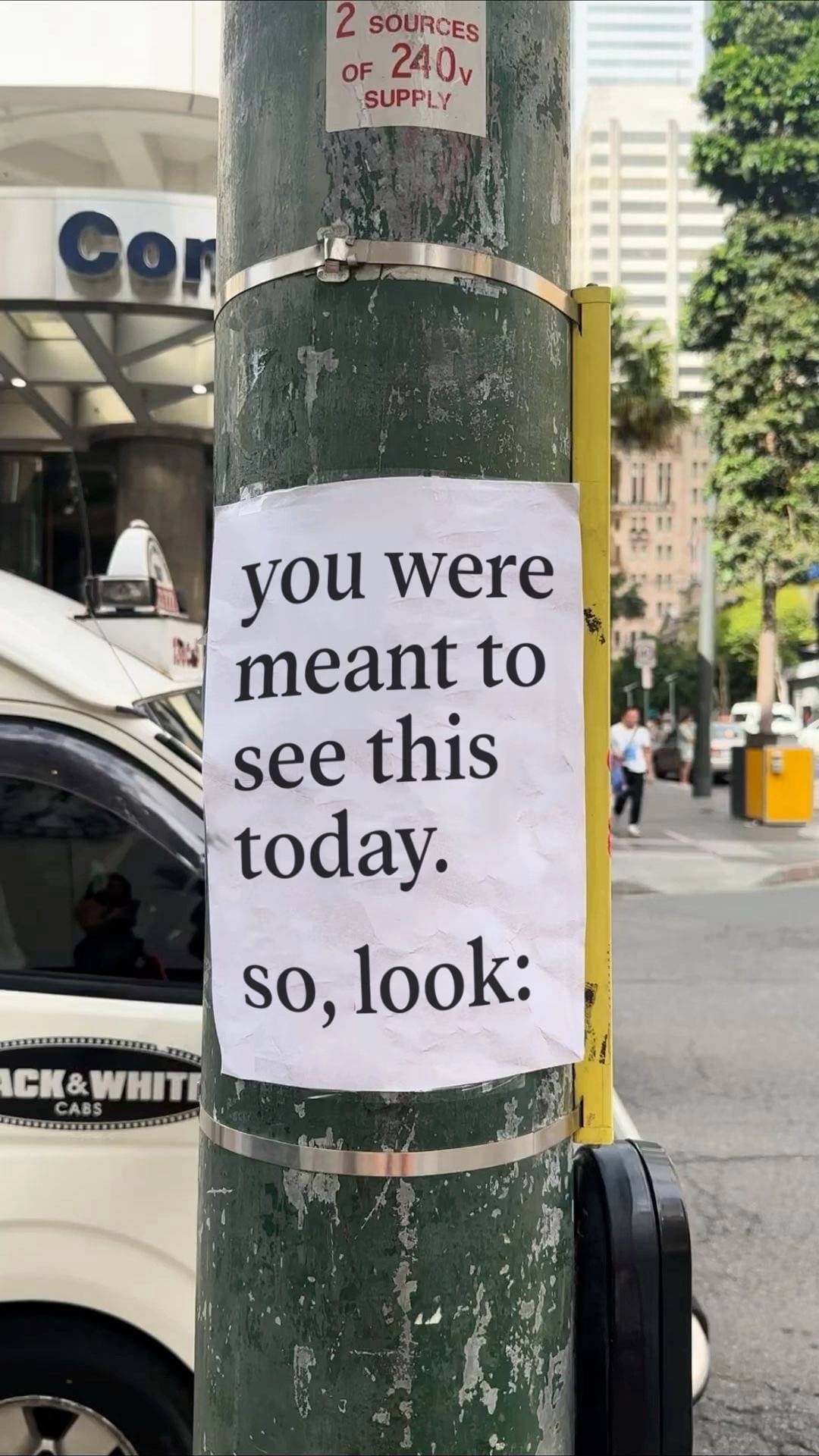 you were
meant to
see this
today.
so, look: